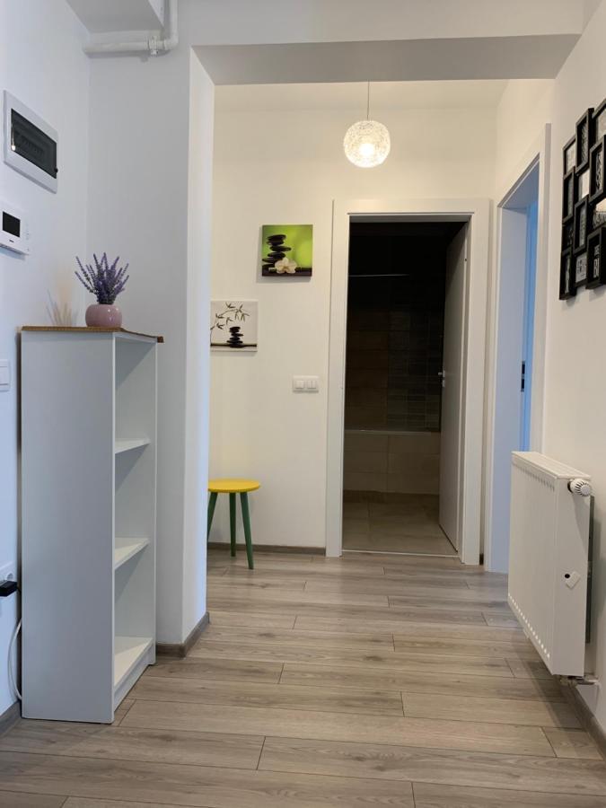 Târgu-MureşApartament Saraアパートメント エクステリア 写真